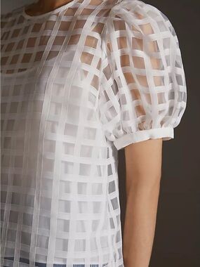 White Sheer Grid Puff-Sleeve English Factory Top